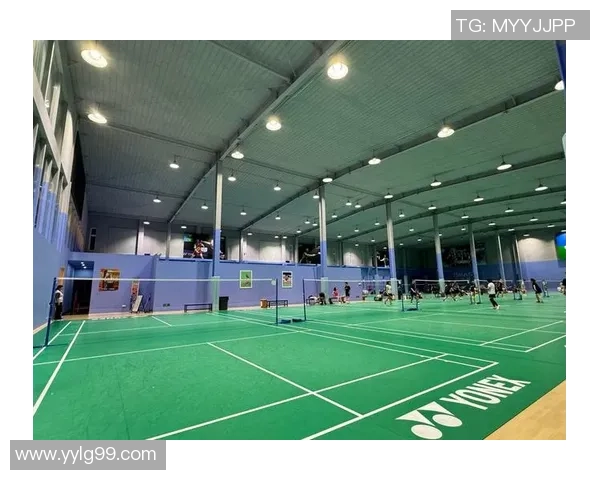 深入分析北京羽毛球队快攻战术的独特魅力与实战应用